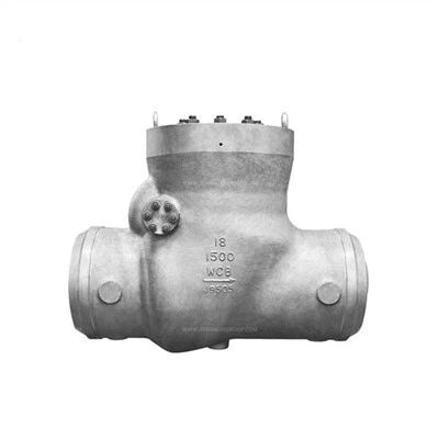 کاسٹ اسٹیل پریشر سیل چیک والوز۔